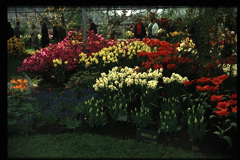 12.Keukenhof apr 1973.JPG